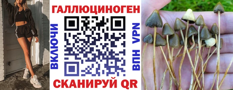 Псилоцибиновые грибы прущие грибы Каспийск