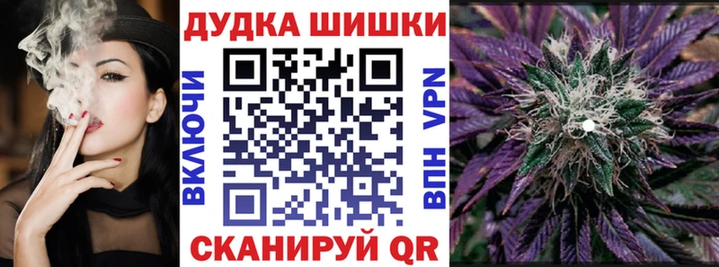 Конопля ГИДРОПОН  дарнет шоп  Каспийск 